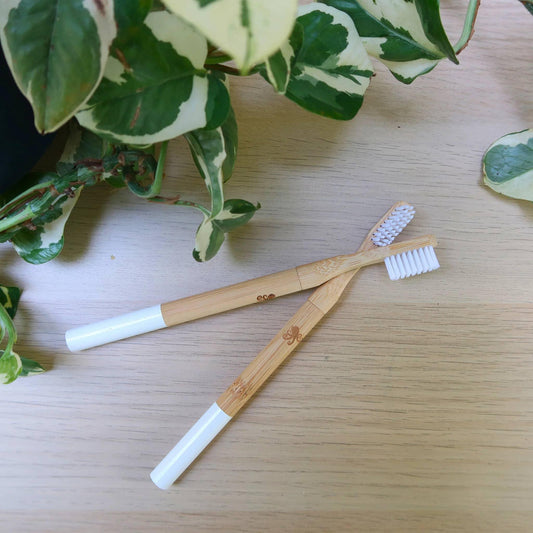 Bamboo Toothbrush: White - Wildwood Eco