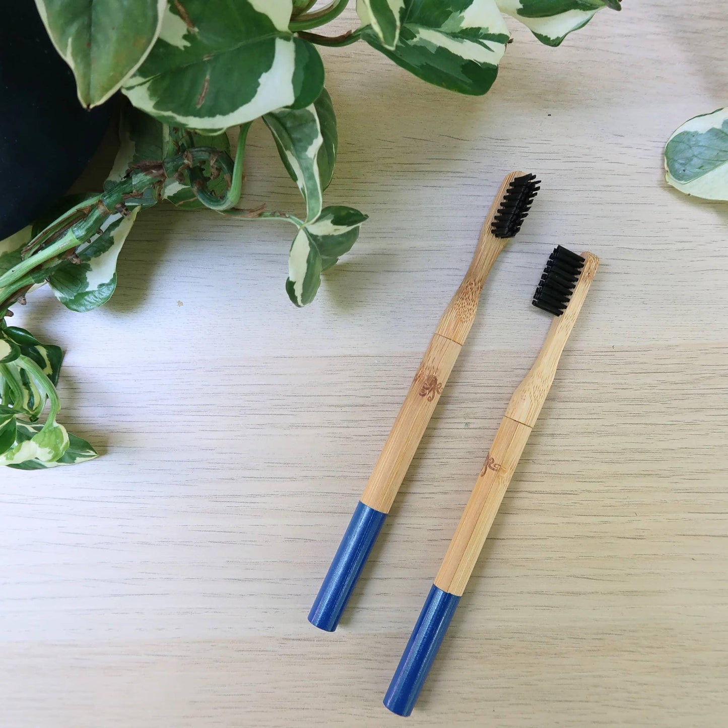 Bamboo Toothbrush: White - Wildwood Eco