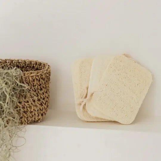 Compostable Kitchen Sponges - Wildwood Eco